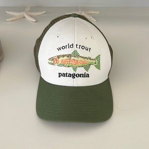Patagonia Trucker hat